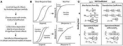 A Practical Guide to Approaching Biased Agonism at G Protein Coupled Receptors